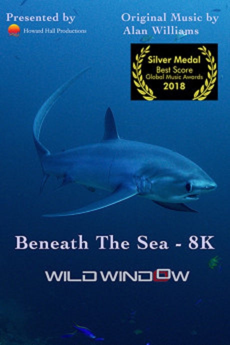 Wild Window: Beneath the Sea (2018)