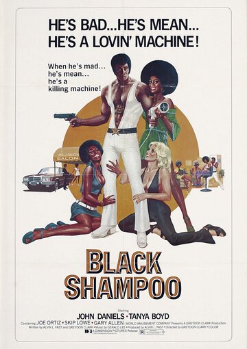 Чёрный шампунь (1976)