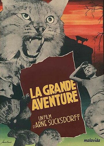 Большое приключение (1953)